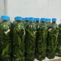 خیارشور|خوردنی و آشامیدنی|روانسر, |دیوار