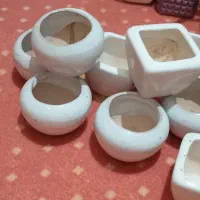 گلدون مخصوص کاکتوس