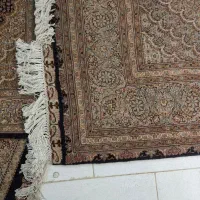 جفت۶ متری ماهی تبریز|فرش|تهران, نیلوفر|دیوار