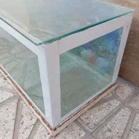 آکواریوم سالم