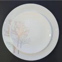 آرکوپال،سرویس پذیرایی