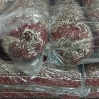 ست شاه نشین خوش رنگ