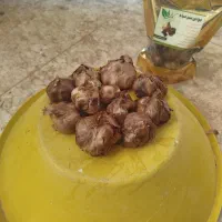 سیر سیاه همدان|خوردنی و آشامیدنی|شیراز, گلکوب|دیوار