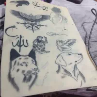 به چندین مدل نیاز دارم
