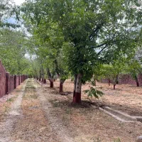 ویلا باغ ۲۲۰۰ متری ۲ عدد کنتور برق،۲ عدد کنتور گاز|فروش خانه و ویلا|دماوند, دماوند|دیوار