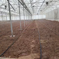 کارگر آقا برای گلخانه