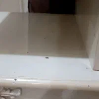 میز tv و تنتاک ورزشی|میز تلویزیون|رباط‌کریم, شهرک والفجر|دیوار