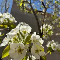 اجاره ویلا استخردار ابگرم لوکس|اجارهٔ کوتاه‌مدت ویلا و باغ|اصفهان, رهنان|دیوار