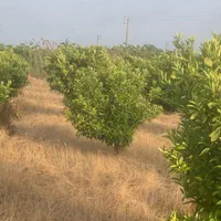 فروش ۷۳۵۰ متری