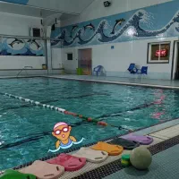 آموزش تخصصی شنا، مبتدی و پیشرفته، استخر|خدمات آموزشی|رشت, خبرنگار|دیوار