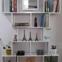 ویترین و کتابخانه یا گلخانه