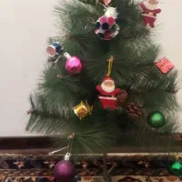 درختچه کاج|گل مصنوعی|سهند, |دیوار