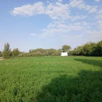 کارگر گاوداری
