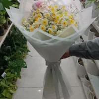 گل نرگس معطر|گل و گیاه طبیعی|اصفهان, درب سیبه علیا|دیوار