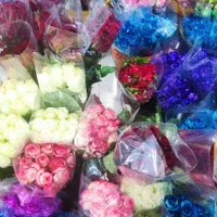 گل رز هلندی قیمت عمده|گل و گیاه طبیعی|شیراز, تاچارا|دیوار