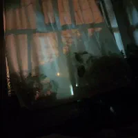 120متر  باغچه  ویلایی