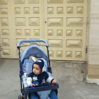 کالسکه دلیجان در حد نو