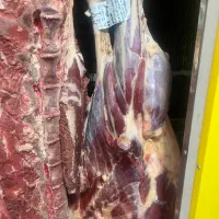 گوشت گوساله گرم