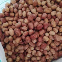 فروش سنجد توسط باغدار مستقیم