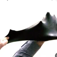 همایش  فرمول ایز وگام