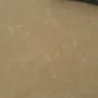 موکت