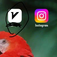 اکانت بازی قوی