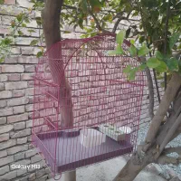 قفس پرنده