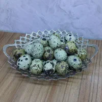 بلدرچین و   تخم  نطفه دار  وایت سنگین وزن|حیوانات مزرعه|قم, شهرک امام حسین|دیوار