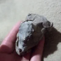 سنگ سرگرمی|کلکسیون اشیاء عتیقه|سیمینه, |دیوار