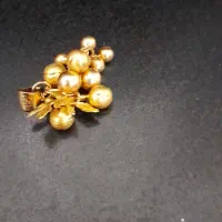 مدال انگور|جواهرات|شیراز, بعثت|دیوار