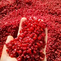 زرشک|خوردنی و آشامیدنی|نیشابور, ۲۲ بهمن|دیوار