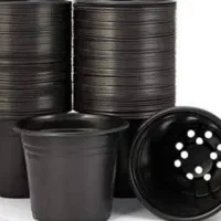 گلدان ژله ای ۱۲