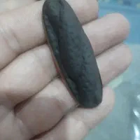 سنگ یا پلاک|بدلیجات|اهواز, کوی رمضان|دیوار