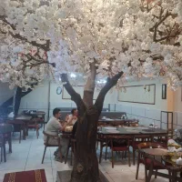 سالنکار رستوران