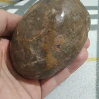 سنگ شجر السبحان