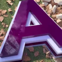 ساخت و تعمیر تخصصی تابلو/چلنیوم/روان/نئون/بنر|خدمات پیشه و مهارت|یاسوج, |دیوار