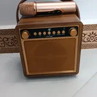 بلندگو میکروفون میکروفن ضبط باند اکوهمراه اسپیکر