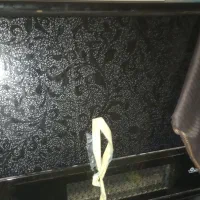 بخاری گازی دودکشی|بخاری، هیتر، شومینه|باوی, |دیوار