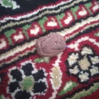 سنگ هبهاب اصل|جواهرات|آغاجاری, |دیوار