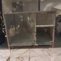 قفس جای مرغ