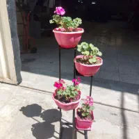 استند گل
