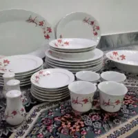 ظروف سرو چینی زیر قیمت فروش فوری