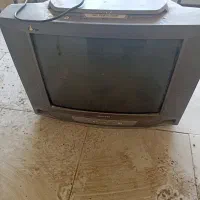 تلویزیون