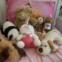 عروسک های پولیشی