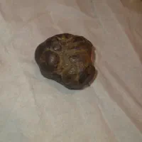 فروش چندقطعه سنگ مشکوک به شهابسنگ|کلکسیون اشیاء عتیقه|شیراز, شهرک مخابرات|دیوار