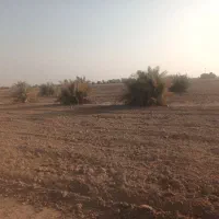 ملاثانی روستای رغیوه