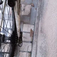 دوچرخه پلیس|دوچرخه، اسکیت، اسکوتر|رشت, چمارسرا|دیوار