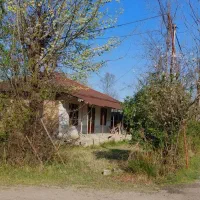 فروش خانه و محوطه در کلاچای|فروش زمین و ملک کلنگی|واجارگاه, |دیوار