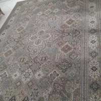 فرش 9 متری|فرش|فردیس, داوری|دیوار