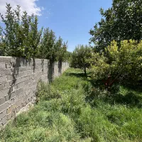 ۳۶۵متر زمین باغ باغچه سندتکبرگ کنتوروصل جابان|فروش زمین و ملک کلنگی|دماوند, دماوند|دیوار